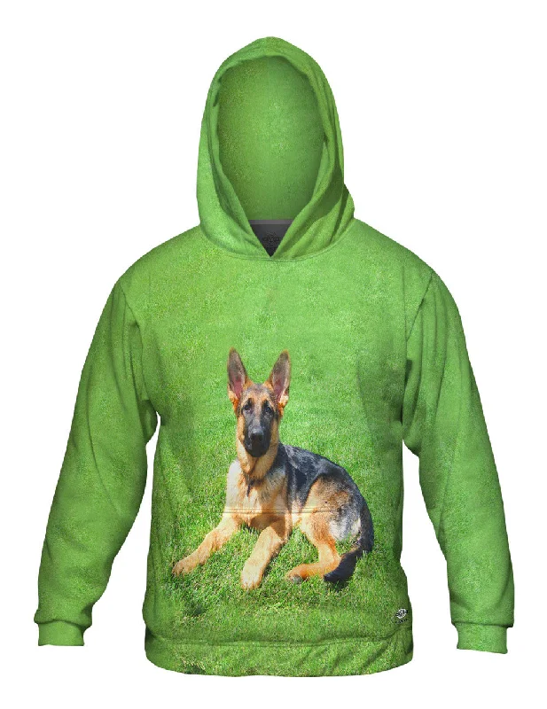 German Shepherd On Grass