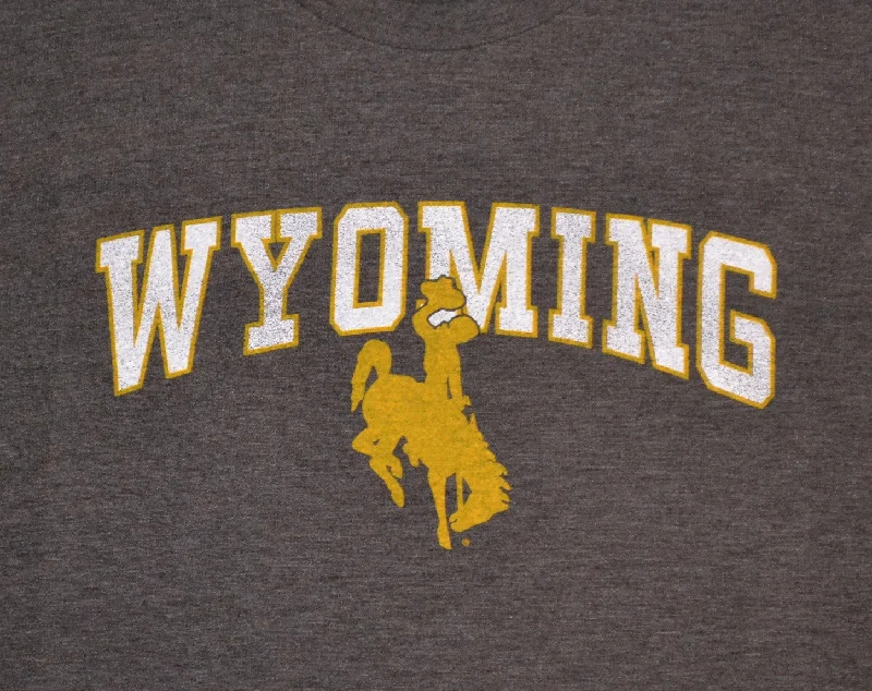 Wyoming Arch Bronco